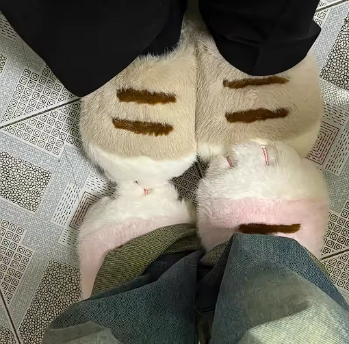 Chaussons pattes de chat – Ultra douces et confortables